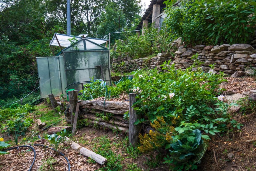 L'orto del Monolocale il Nettare