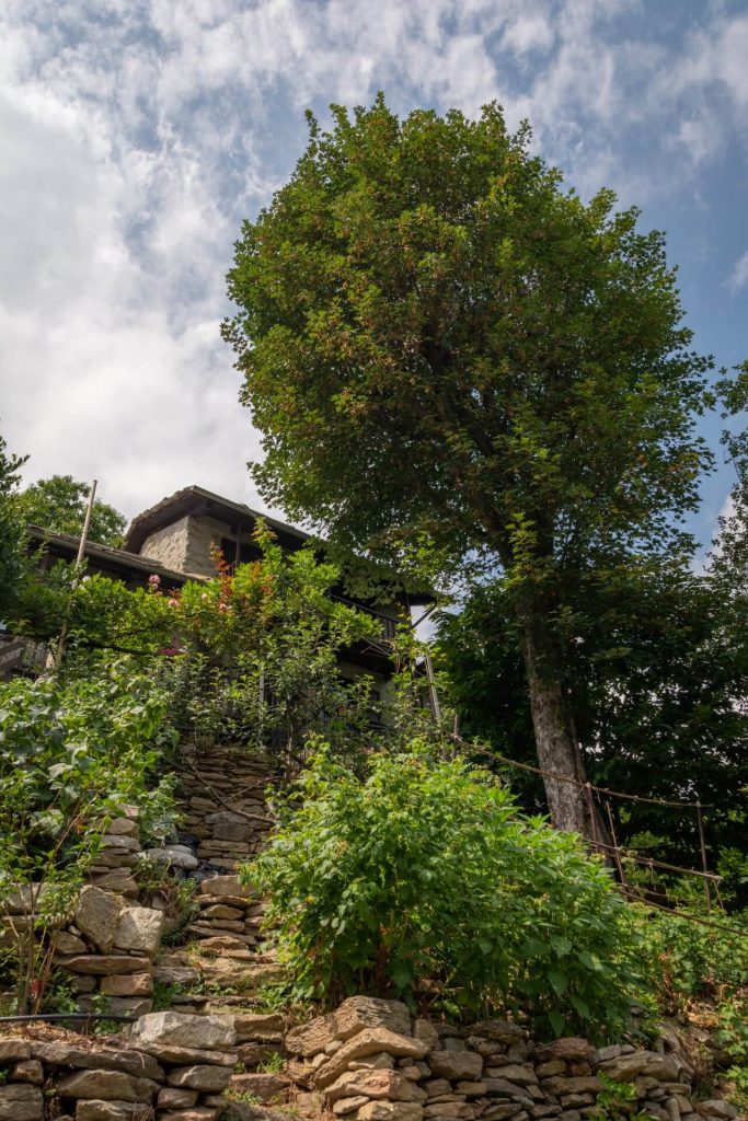 Monolocale il Nettare la casa